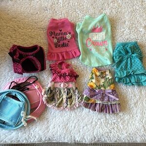 Dog Apparel Set-pink and black brand new harness, And… Pink and Blue Outfits
